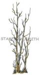 O-27 Birch Trees